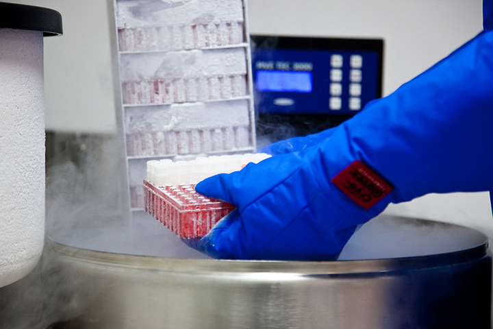Big blue gloves handling lab samples