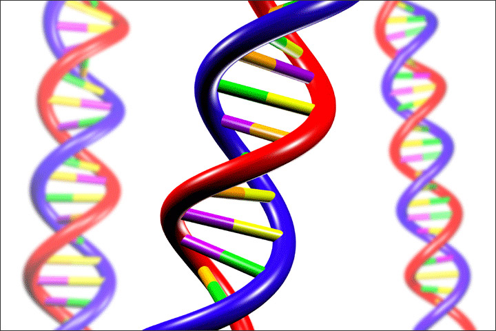 Illustration of the DNA double helix in red, blue, purple, yellow, orange, and green. There is a main spiral in the center and two faded spirals on the left and right.