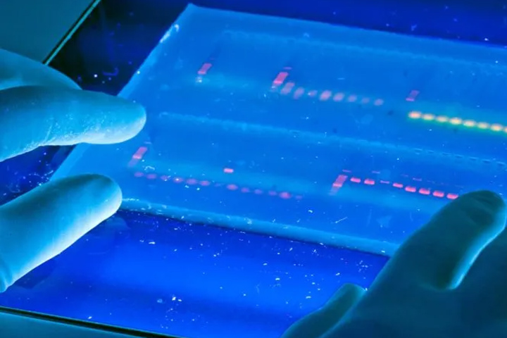 Hands holding an image of DNA analysis, in blue light.