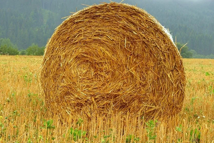 Large rolled hay bale sitting in the center of a field with green mountains in the background