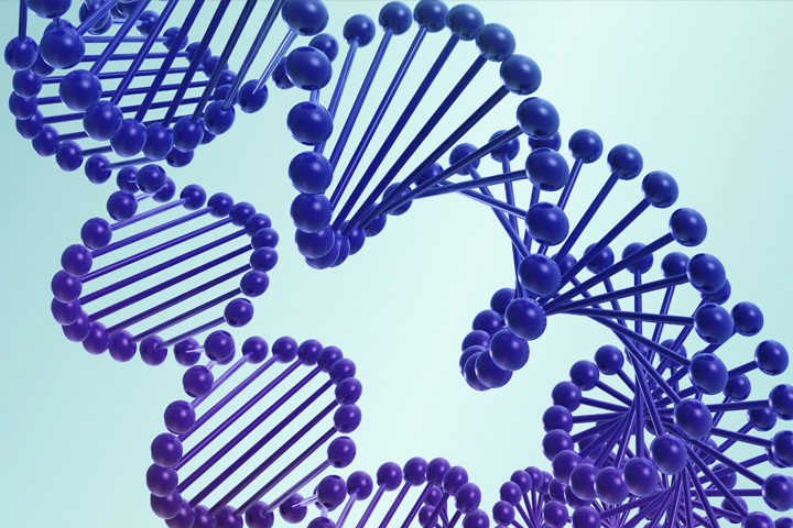 Illustration of the twisting spirals of two DNA double helices in royal blue and purple on a turquoise colored background