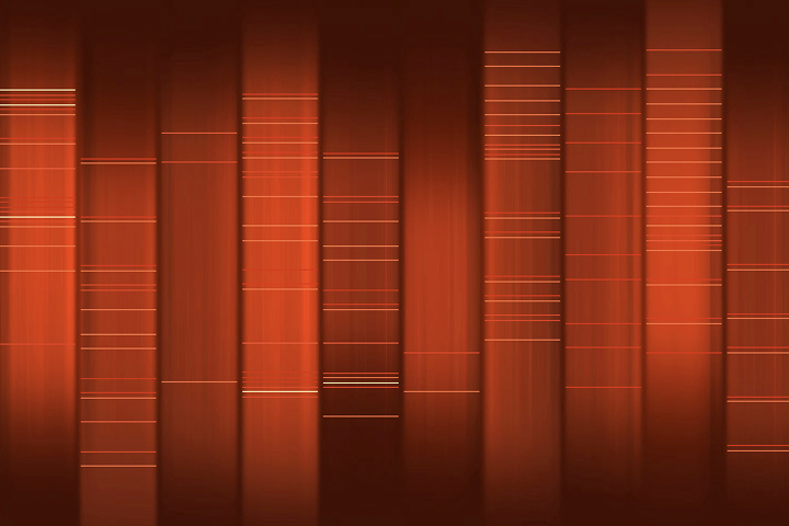 Image of DNA analysis showing a series of darker and lighter orange-colored columns with thin horizontal red, yellow, white, and orange stripes indicating different genes