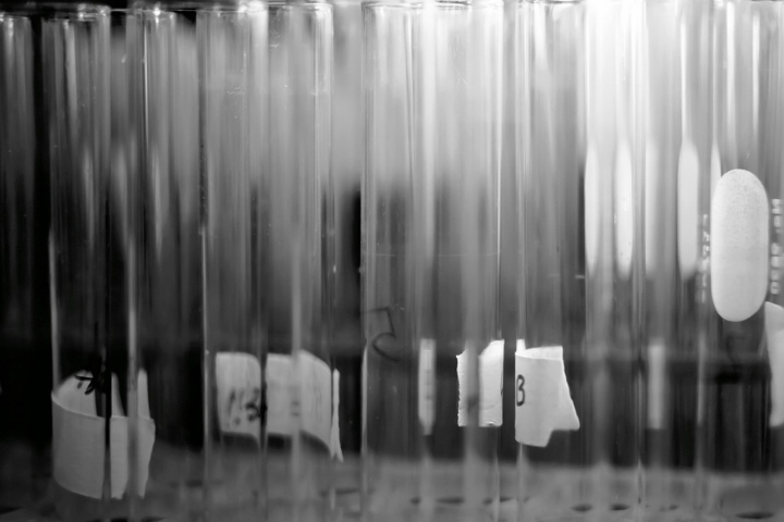 Black and white photo of test tubes upright in a rack