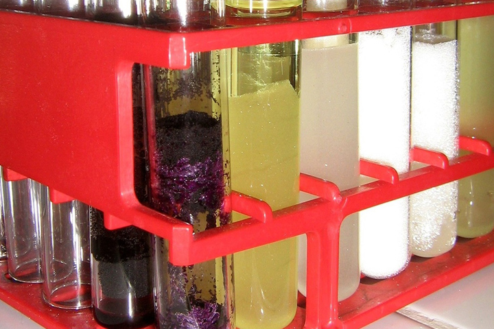 Chemistry tubes with purple, yellow and white liquids in a red rack