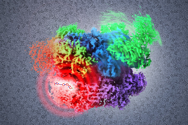Image of a cancer drug target visualized at the atomic level