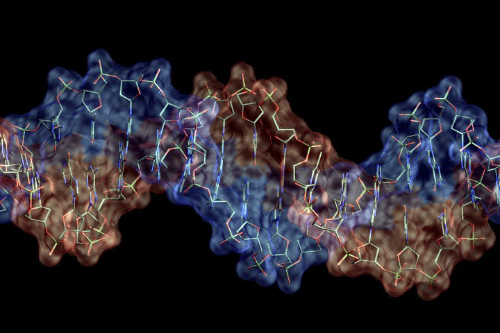 computer rendering of DNA in Brown and blue against a black background