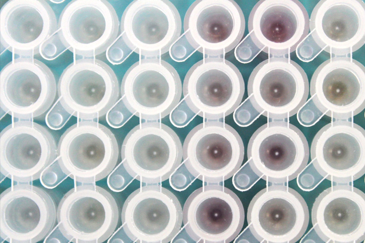The tops of closed lab vials as seen from overhead against a blue-ish background