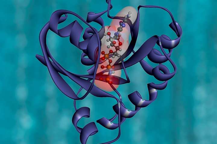 computer rendering of KRAS protein structure