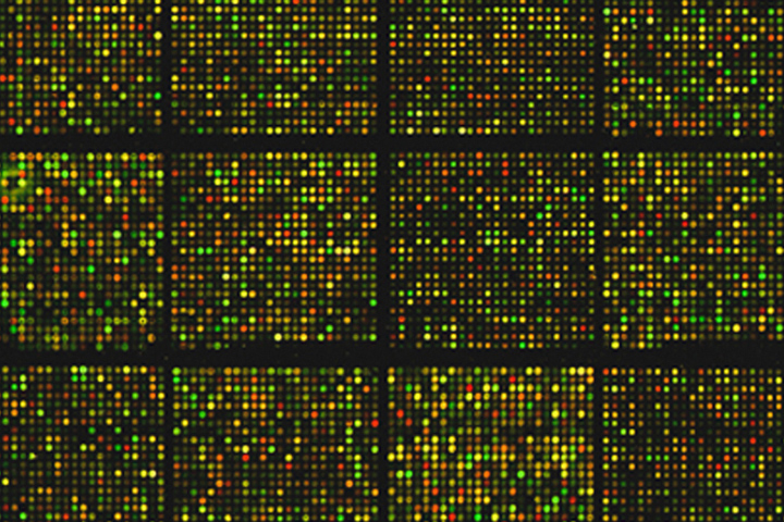 bright colored yellow, red, and green dots in square patterns on a black background