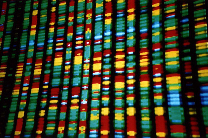 DNA representation