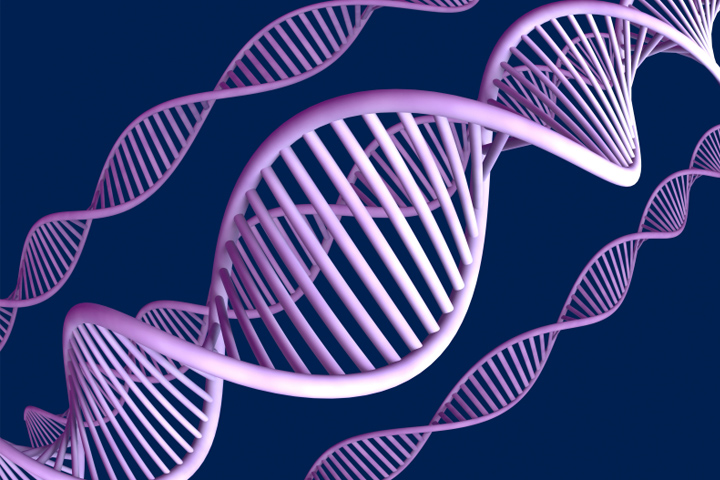 Illustration of DNA double helices in light and medium purple on a dark blue background