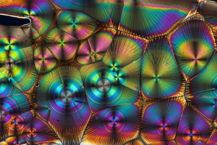 Microscope image of vitamin C crystals