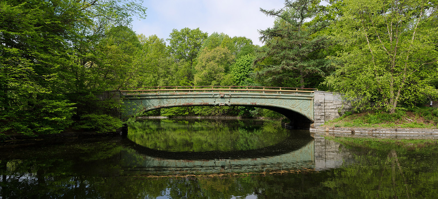 Prospect Park bridge