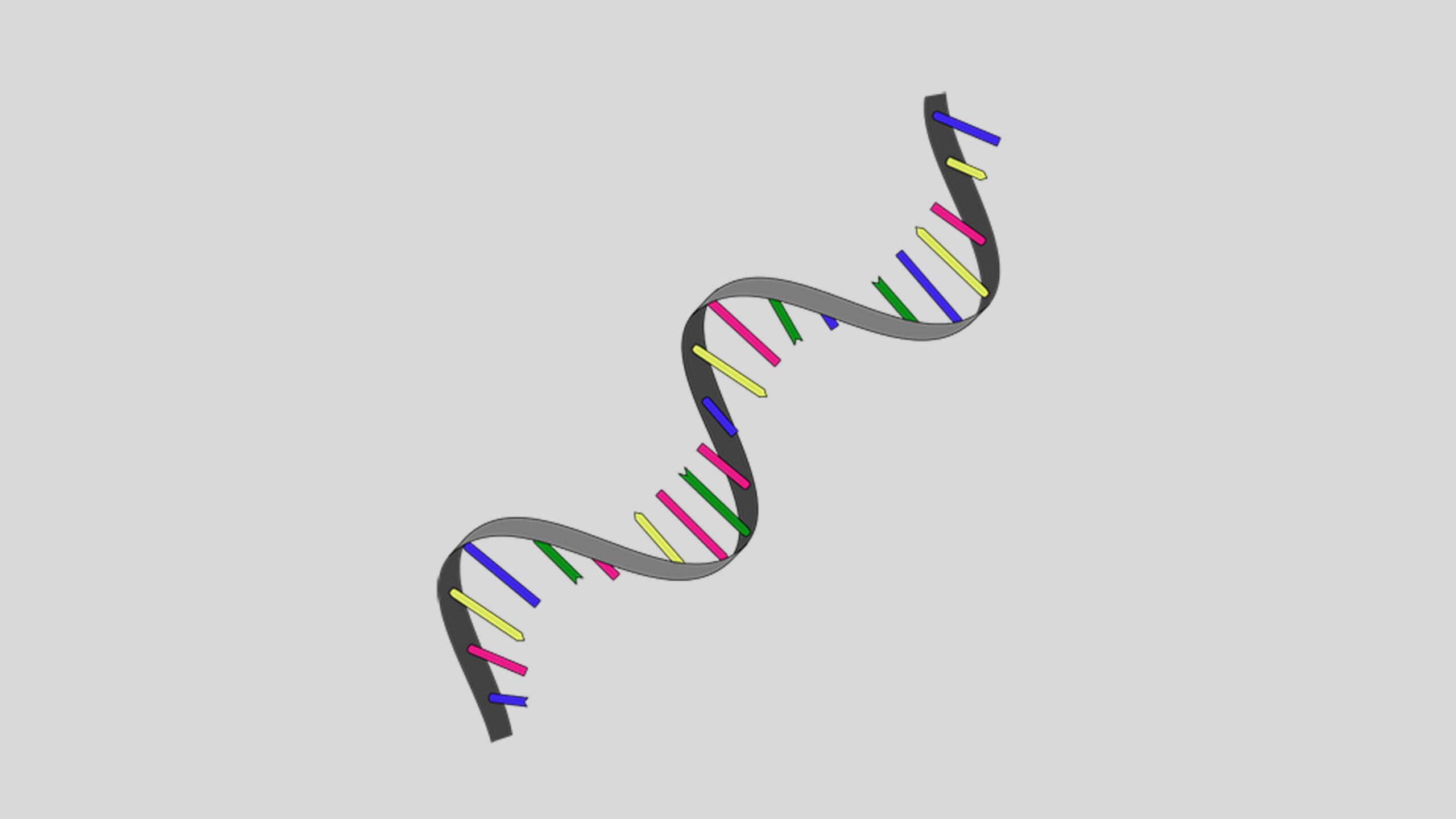 RNA