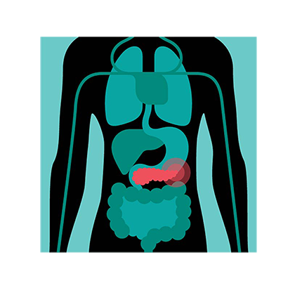 pancreas violator
